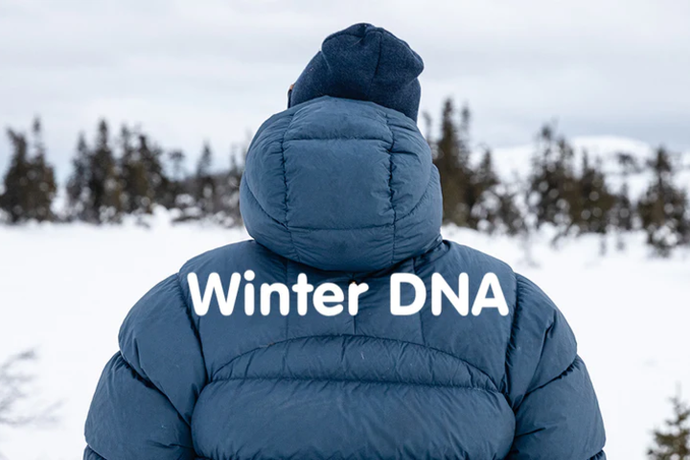 Winter DNA