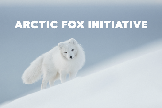 An introduction to the Arctic Fox Initiative