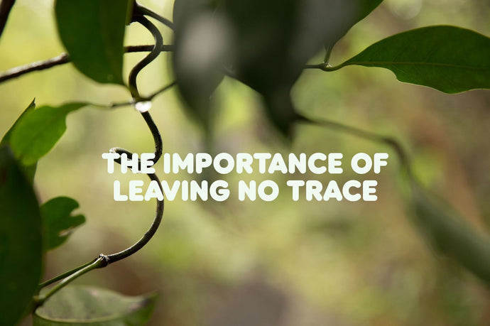 The Importance of Leaving No Trace